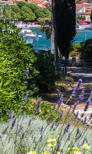 Mediteranski vrt Villa Val otok Krk
